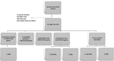 Genomic sequencing has a high diagnostic yield in children with congenital anomalies of the heart and urinary system